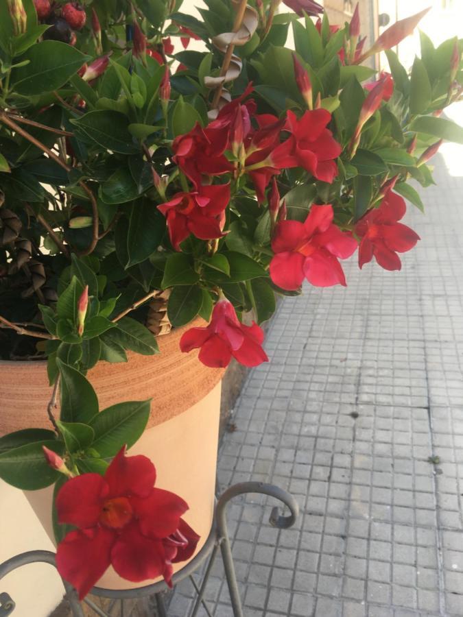 Carrer Dels Horts Apartment Alghero Bagian luar foto