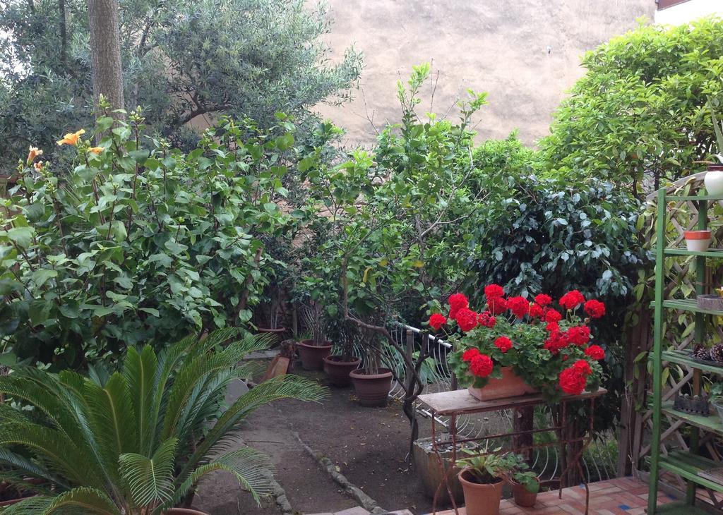 Carrer Dels Horts Apartment Alghero Bagian luar foto
