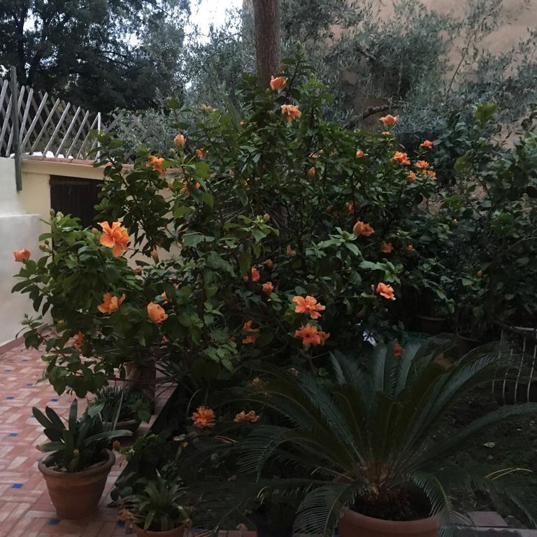 Carrer Dels Horts Apartment Alghero Bagian luar foto